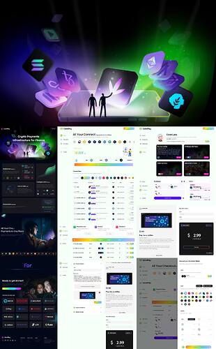 CoindPay Portfolio|100%