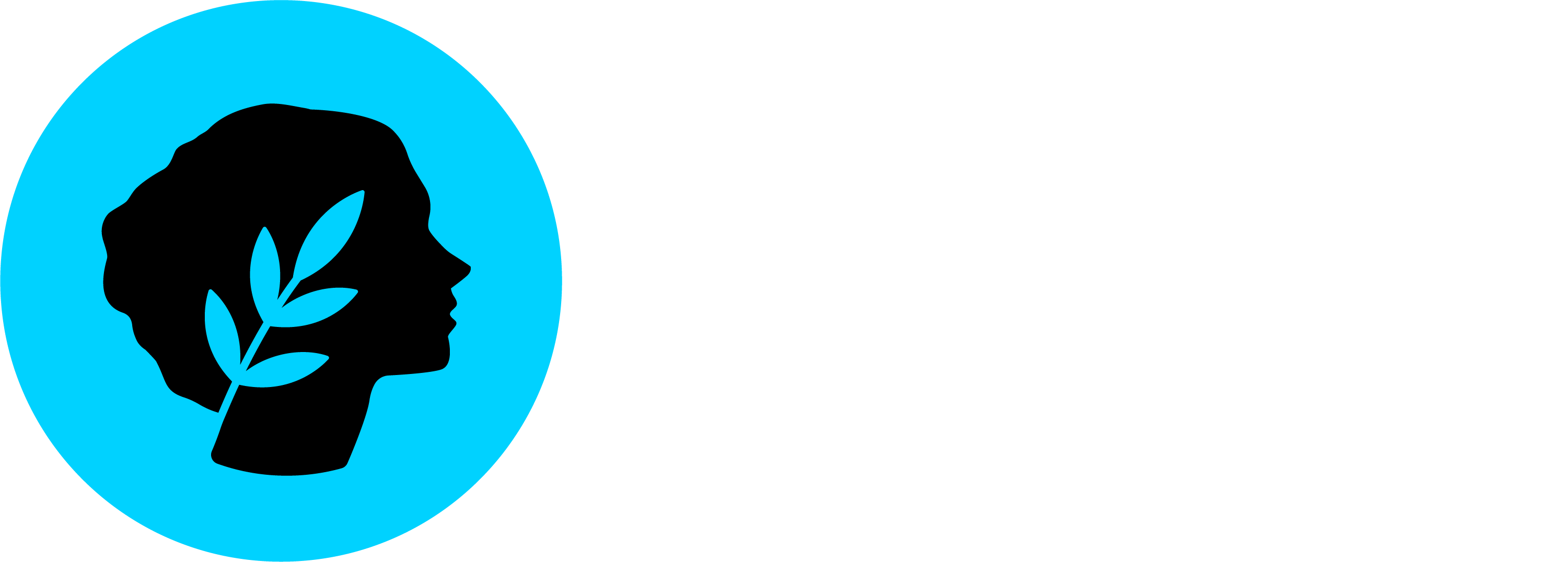 Metis iDAO Forum